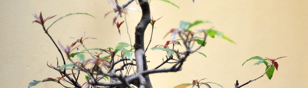 خرید vpn خرید کریو و فیلترشکن